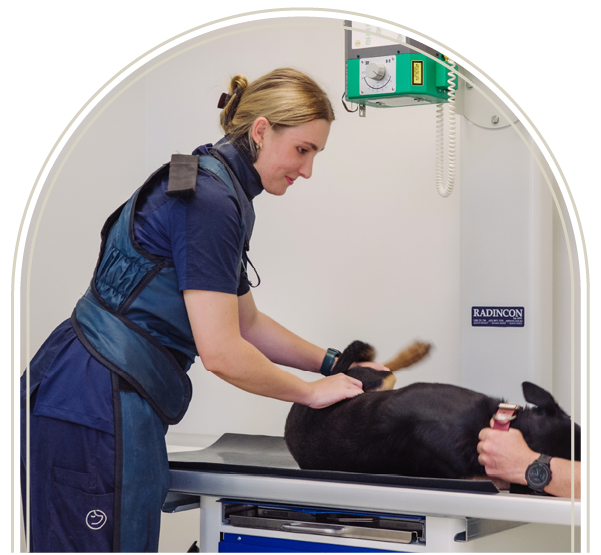 Advanced Diagnostics_3
