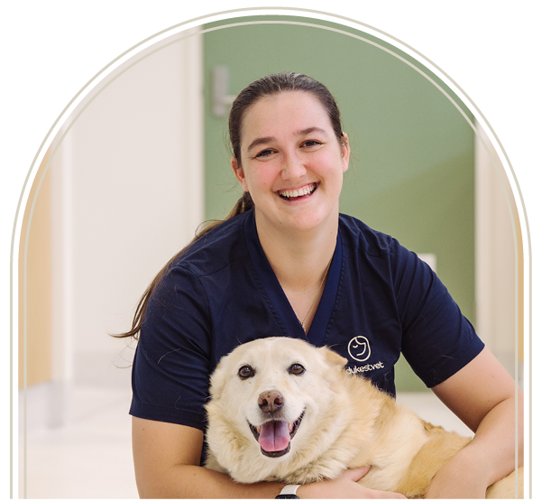 Vet Nurse Slider