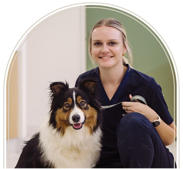 Vet Nurse Slider-2