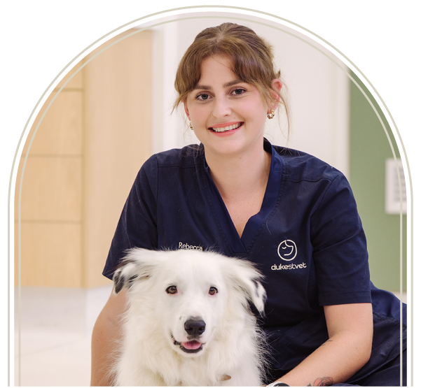Vet Nurse Slider-4
