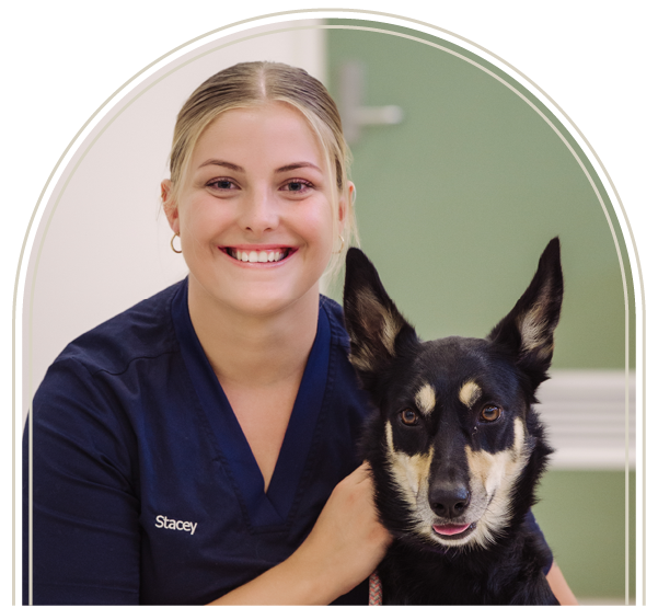 Vet Nurse Slider-5