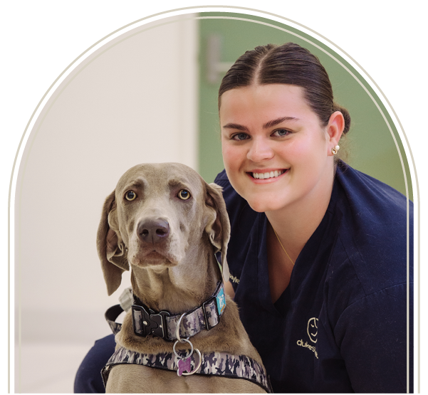 Vet Nurse Slider-6