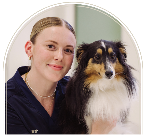 Vet Nurse Slider-7