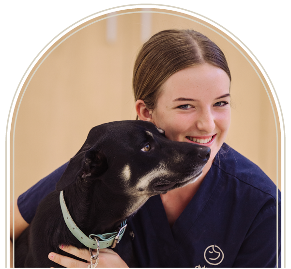Vet Nurse Slider-8
