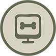 DSV icon1
