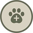 DSV icon1